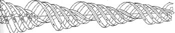 longitudinal vortex