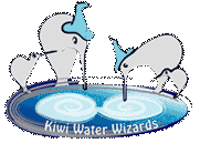 Kiwi water wizard