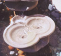 whirlpool vessel cascade