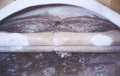 whirlpool vessel animal drinking trough