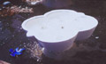 whirlpool vessel 4 whirlpools